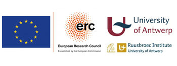 University of Antwerp - Stigmatics Logo